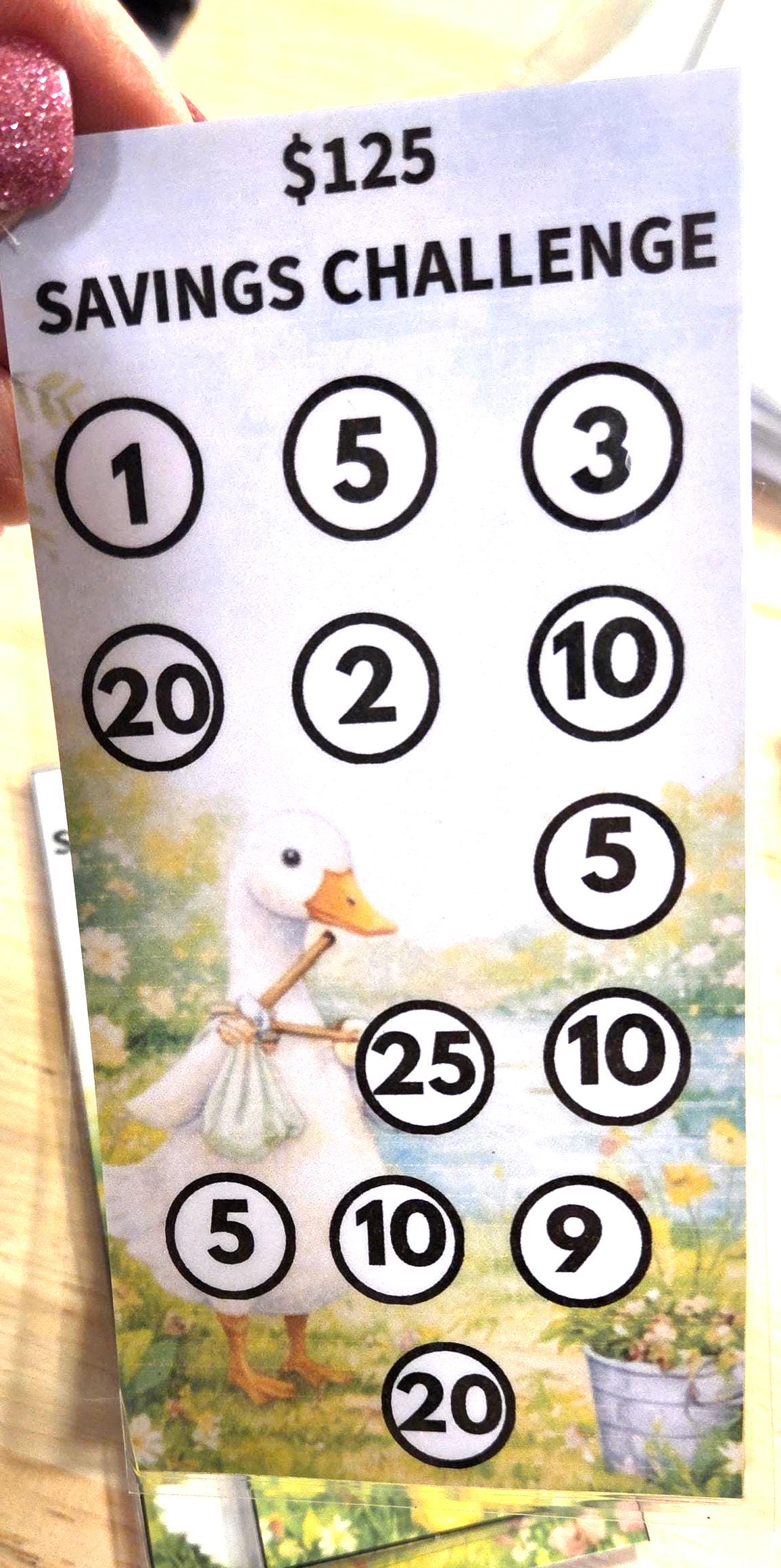 Low income goose savings challenge trackers and envelopes for a6 savings binder