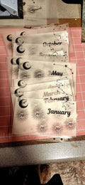 Celestial Vellum Cash Envelope Trackers, Monthly Budget Set (12)