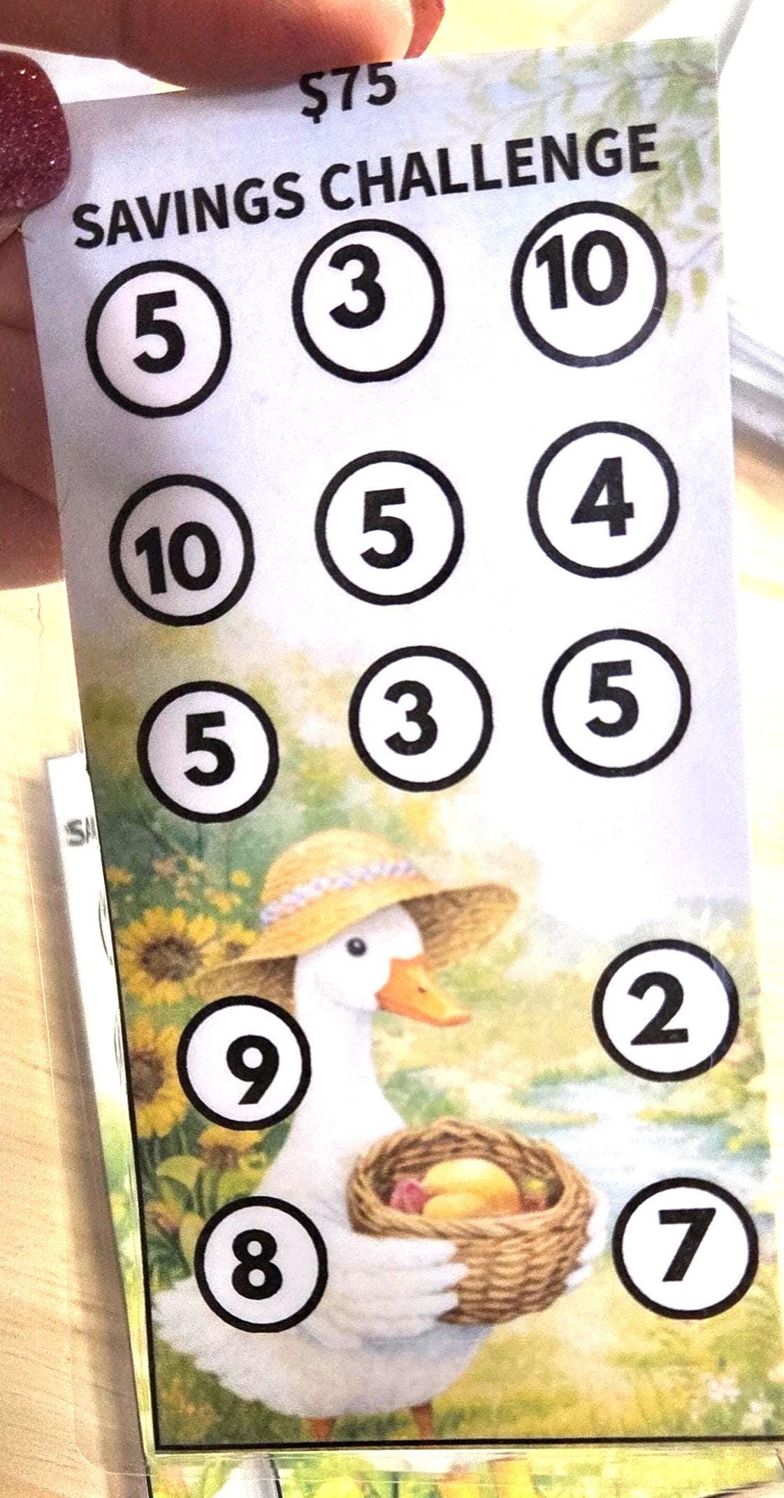 Low income goose savings challenge trackers and envelopes for a6 savings binder