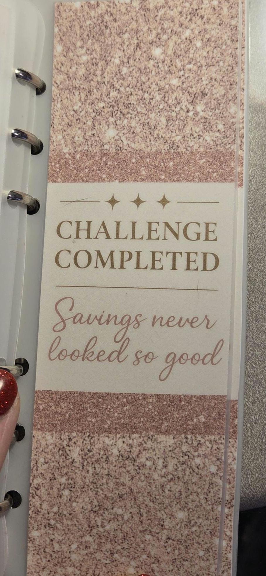 A6 Shopping savings  challenge binder with savings trackers, vellum envelopes