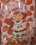 A5 glitter strawberry shortcake classic mystery scoop savings binder