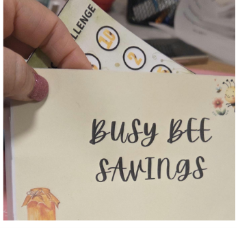 Bee A6 Savings Challenge | Trackers, Cash Budget Binder low income saving