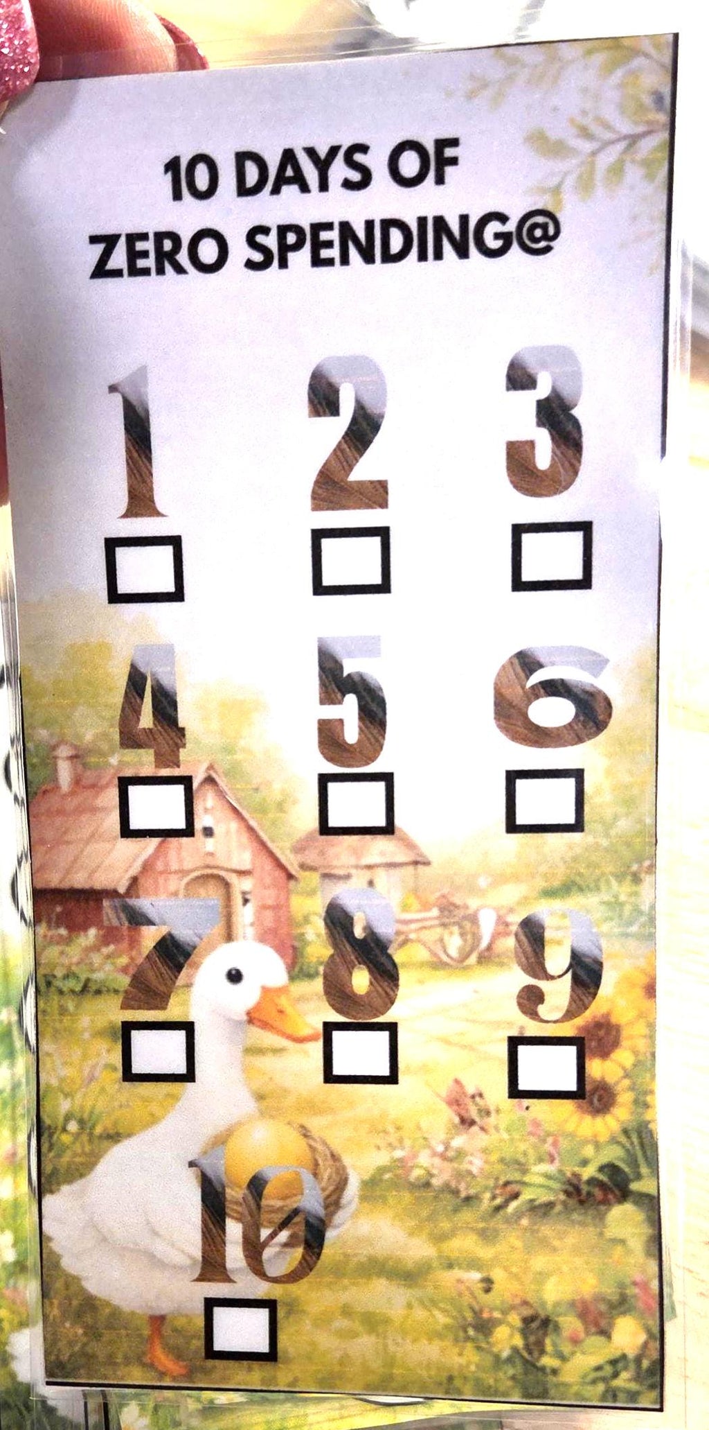 Low income goose savings challenge trackers and envelopes for a6 savings binder