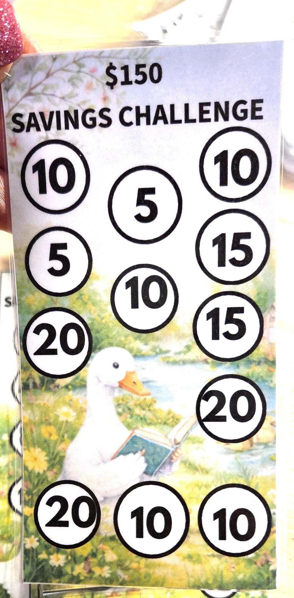 Low income goose savings challenge trackers and envelopes for a6 savings binder