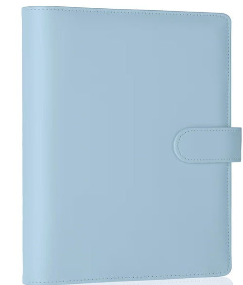 A5 Budget Binder Mystery Scoop